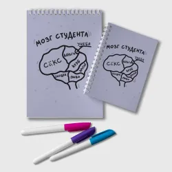 Блокнот Схема мозга