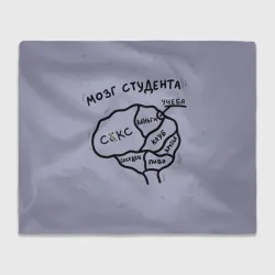 Плед 3D Схема мозга