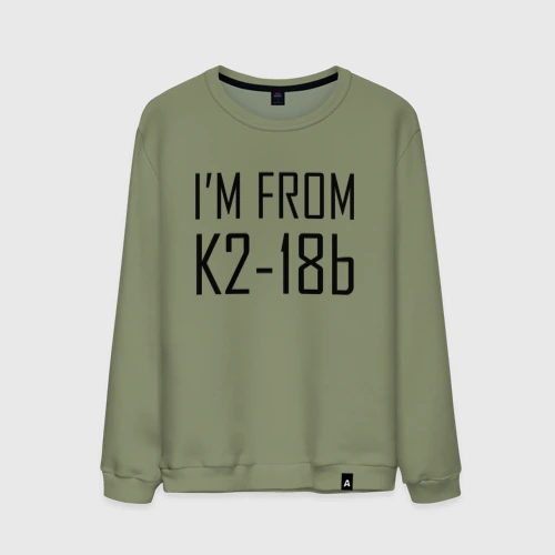 Мужской свитшот хлопок Я с планеты K2-18b