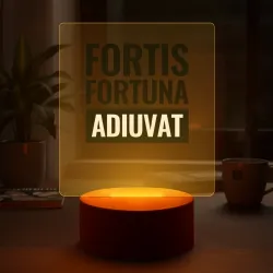 Светильник-ночник John Wick fortis fortuna adiuvat чёрный - фото 2