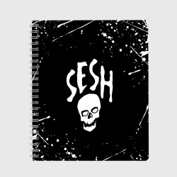 Тетрадь Team Sesh Bones брызги красок