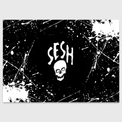Поздравительная открытка Team Sesh Bones брызги красок