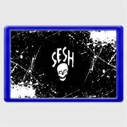 Магнит 45*70 Team Sesh Bones брызги красок