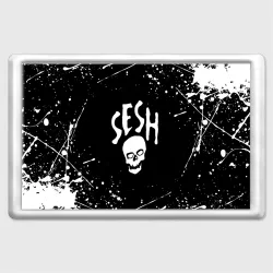 Магнит 45*70 Team Sesh Bones брызги красок