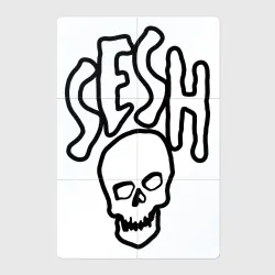 Магнитный плакат 2Х3 Team Sesh Bones 