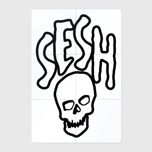 Магнитный плакат 2Х3 Team Sesh Bones 