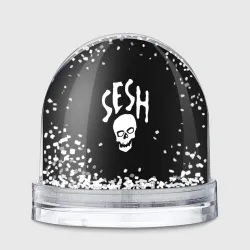 Игрушка Снежный шар Bones team sesh 
