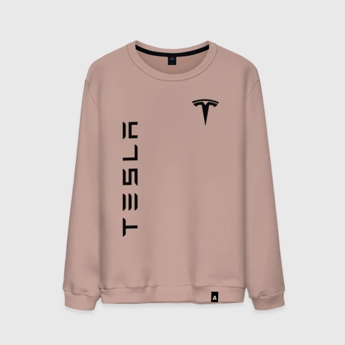 Мужской свитшот хлопок Tesla logo black на груди