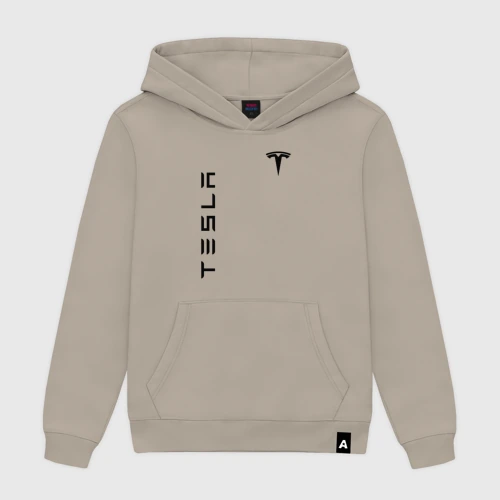 Мужская толстовка хлопок Tesla logo black на груди