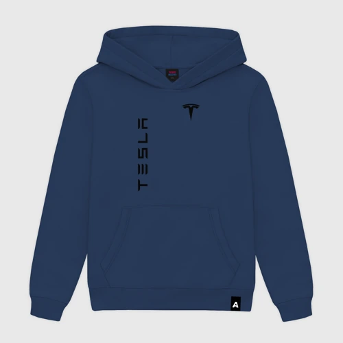 Мужская толстовка хлопок Tesla logo black на груди