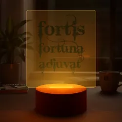 Светильник-ночник Fortis fortuna adiuvat black John Wick - фото 2