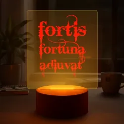 Светильник-ночник Fortis fortuna adiuvat - Джон Уик - фото 2