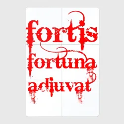 Магнитный плакат 2Х3 Fortis fortuna adiuvat - Джон Уик