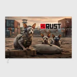 Флаг 3D Sphynx cat gang - Rust prank