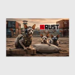 Бумага для упаковки 3D Sphynx cat gang - Rust prank