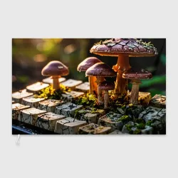 Флаг 3D Грибы на клавиатуре