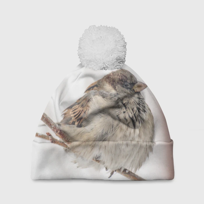 Зимний воробей